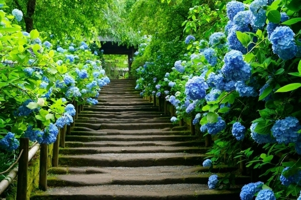 �_�ސ쌧���q�s�����4���ڂ̐V�z��ˌ��Ă̎��ӊ�