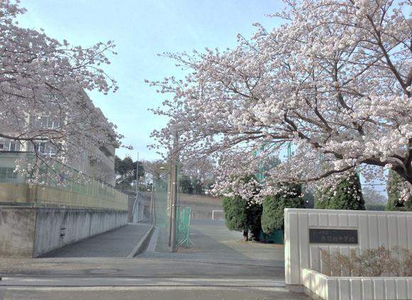 �_�ސ쌧������s�H��2���ڂ̒��È�ˌ��Ă̎��ӊ�