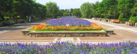 �_�ސ쌧����s�{����2���ڂ̒��Ã}���V�����̎��ӊ�