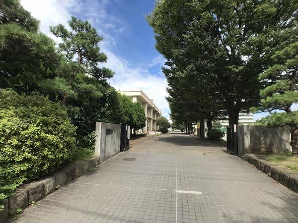 �_�ސ쌧���ˎs�{�̑O�̒��Ã}���V�����̎��ӊ�