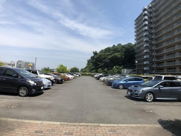�_�ސ쌧����s�얼�̒��Ã}���V�����̉摜