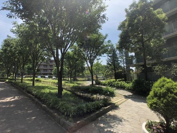 �_�ސ쌧����s�얼�̒��Ã}���V�����̂��̑�