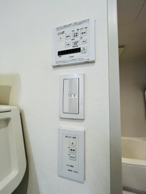 �_�ސ쌧����s���̒��È�ˌ��Ă̂��̑�