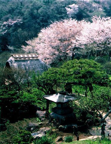 �_�ސ쌧���q�s��K��2���ڂ̒��È�ˌ��Ă̎��ӊ�