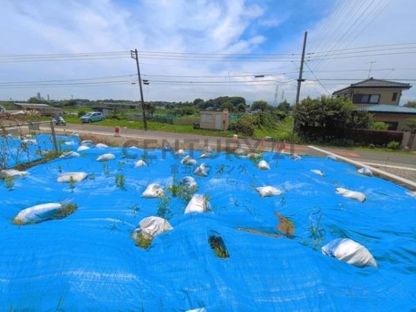 �_�ސ쌧����s�p�c�̓y�n�̌��n�y�n�ʐ^