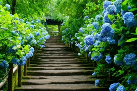 �_�ސ쌧���q�s�����4���ڂ̐V�z��ˌ��Ă̎��ӊ�