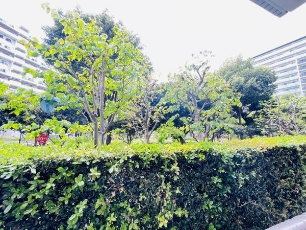 �_�ސ쌧����s�������̒��Ã}���V�����̂��̑����n