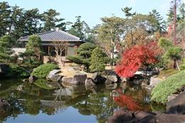 �_�ސ쌧�O�Y�S�t�R���x���̒��È�ˌ��Ă̎��ӊ�