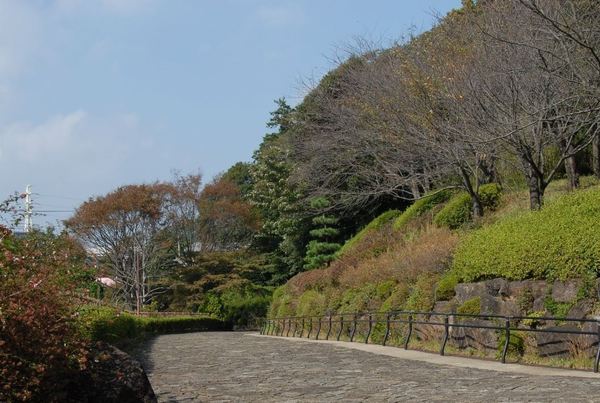 �_�ސ쌧����s���̒��È�ˌ��Ă̎��ӊ�