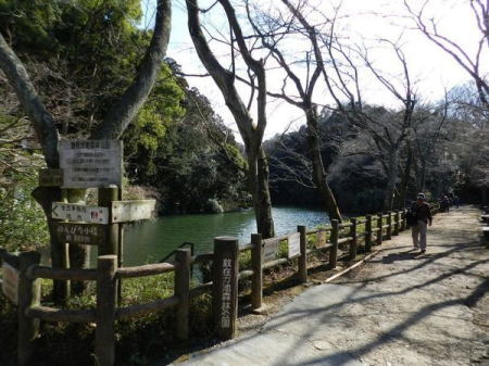 �_�ސ쌧���q�s�����1���ڂ̒��È�ˌ��Ă̎��ӊ�