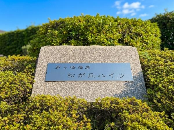 �_�ސ쌧������s�����u2���ڂ̒��Ã}���V�����̂��̑�