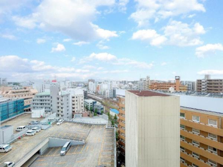 �_�ސ쌧����s����̒��Ã}���V�����̂��̑����p��