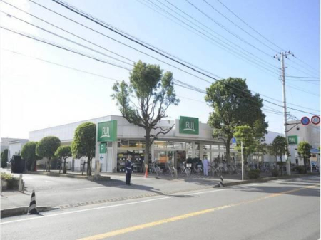�_�ސ쌧������s�l�{��̒��Ã}���V�����̎��ӊ�